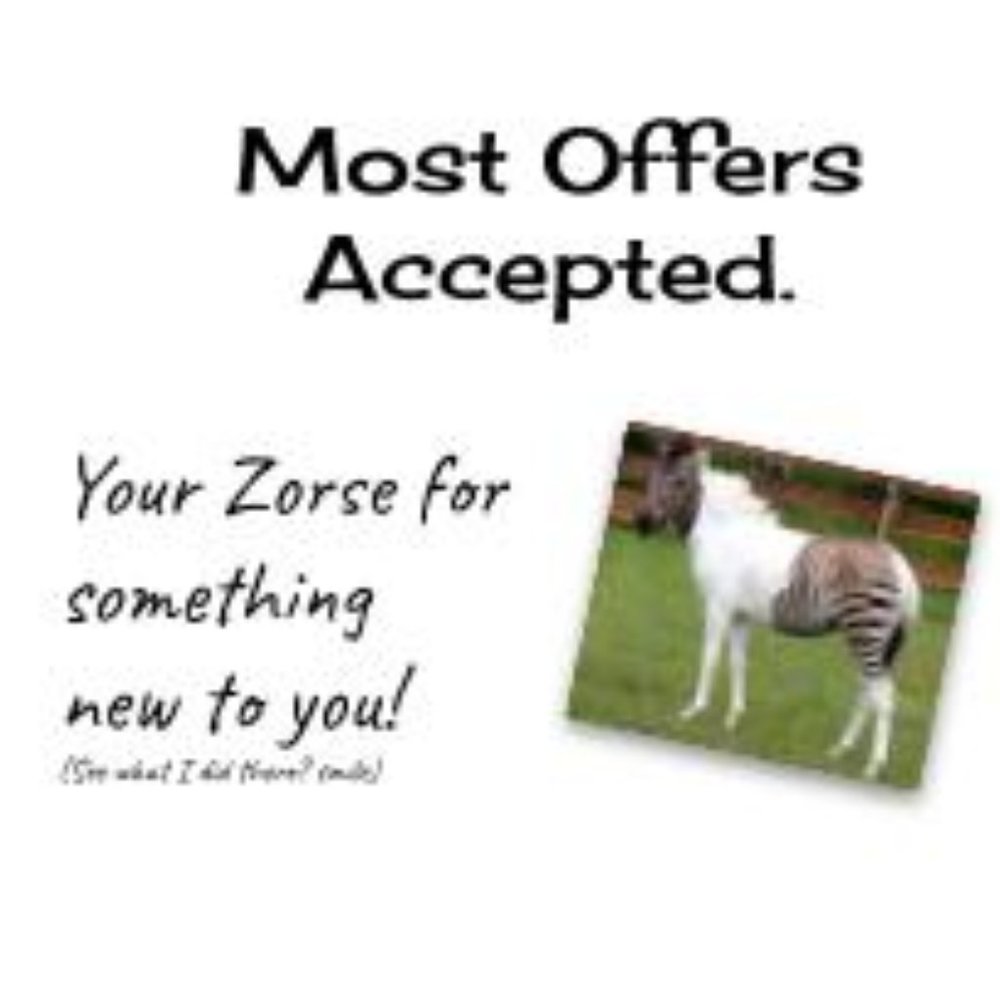Most Offers Accepted